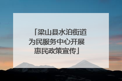 梁山县水泊街道为民服务中心开展惠民政策宣传