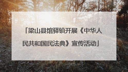 梁山县馆驿镇开展《中华人民共和国民法典》宣传活动