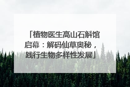 植物医生高山石斛馆启幕：解码仙草奥秘，践行生物多样性发展
