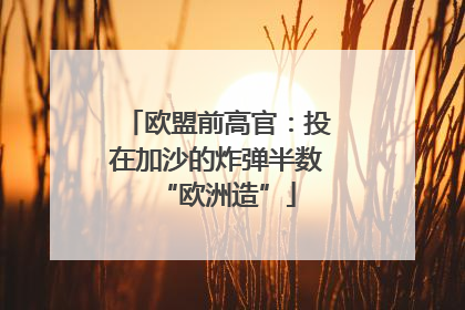 欧盟前高官：投在加沙的炸弹半数“欧洲造”