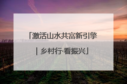 激活山水共富新引擎｜乡村行·看振兴