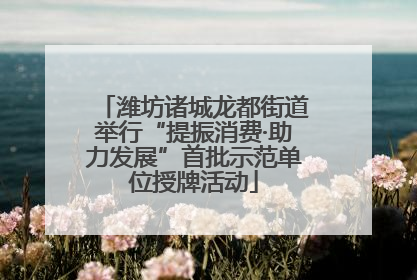 潍坊诸城龙都街道举行“提振消费·助力发展”首批示范单位授牌活动