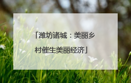 潍坊诸城：美丽乡村催生美丽经济