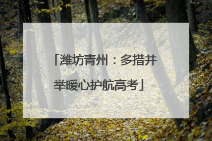 潍坊青州：多措并举暖心护航高考