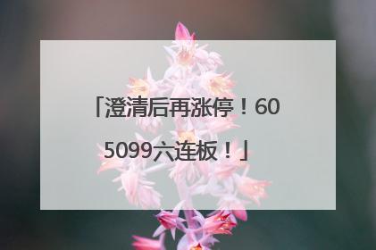 澄清后再涨停！605099六连板！