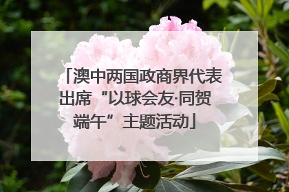 澳中两国政商界代表出席“以球会友·同贺端午”主题活动