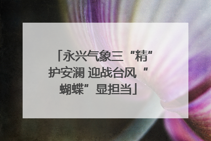 永兴气象三“精”护安澜 迎战台风“蝴蝶”显担当