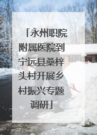 永州职院附属医院到宁远县桑梓头村开展乡村振兴专题调研