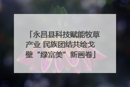 永昌县科技赋能牧草产业 民族团结共绘戈壁“绿富美”新画卷
