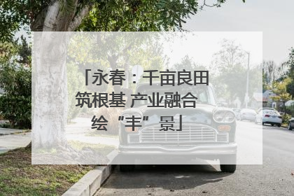 永春：千亩良田筑根基 产业融合绘“丰”景