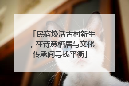 民宿焕活古村新生，在诗意栖居与文化传承间寻找平衡