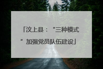 汶上县：“三种模式”加强党员队伍建设