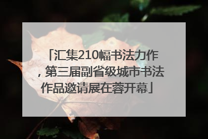 汇集210幅书法力作，第三届副省级城市书法作品邀请展在蓉开幕