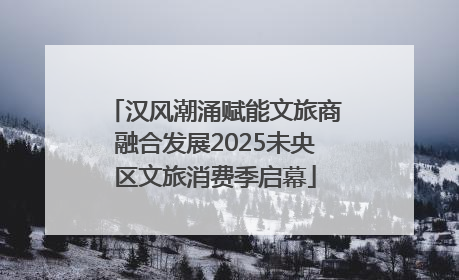 汉风潮涌赋能文旅商融合发展2025未央区文旅消费季启幕