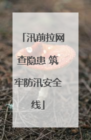 汛前拉网查隐患 筑牢防汛安全线