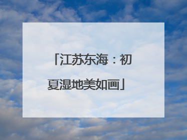江苏东海：初夏湿地美如画