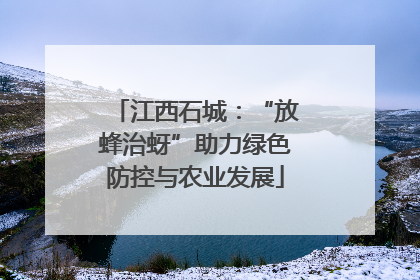 江西石城：“放蜂治蚜”助力绿色防控与农业发展