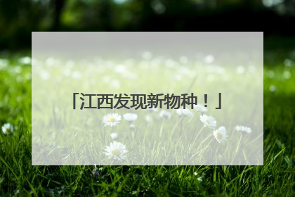 江西发现新物种！