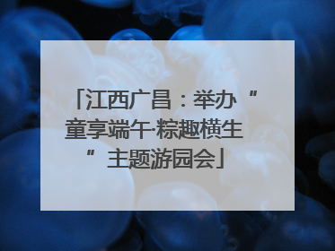 江西广昌：举办“童享端午·粽趣横生”主题游园会
