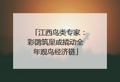 江西鸟类专家：彩鹮筑巢或撬动全年观鸟经济链