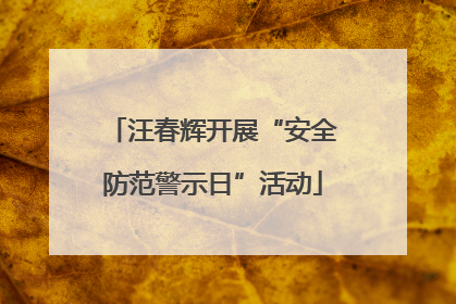 汪春辉开展“安全防范警示日”活动