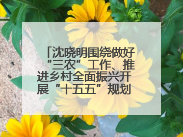 沈晓明围绕做好“三农”工作、推进乡村全面振兴开展“十五五”规划专题调研
