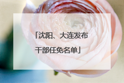 沈阳、大连发布干部任免名单