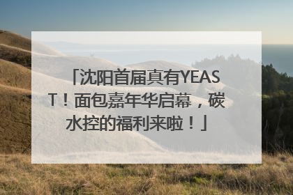 沈阳首届真有YEAST！面包嘉年华启幕，碳水控的福利来啦！