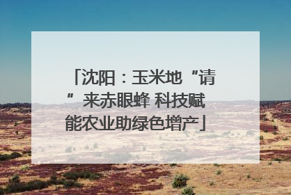 沈阳：玉米地“请”来赤眼蜂 科技赋能农业助绿色增产