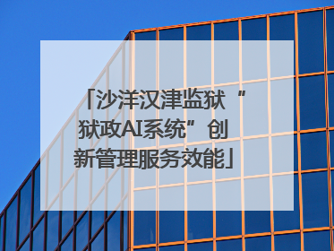 沙洋汉津监狱“狱政AI系统”创新管理服务效能