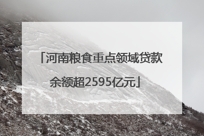 河南粮食重点领域贷款余额超2595亿元