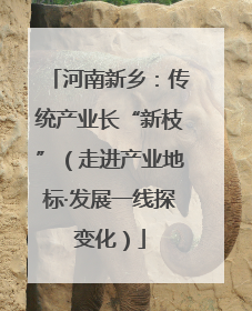 河南新乡：传统产业长“新枝”（走进产业地标·发展一线探变化）