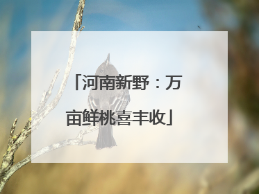 河南新野：万亩鲜桃喜丰收