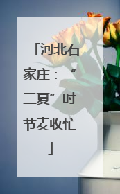 河北石家庄：“三夏”时节麦收忙