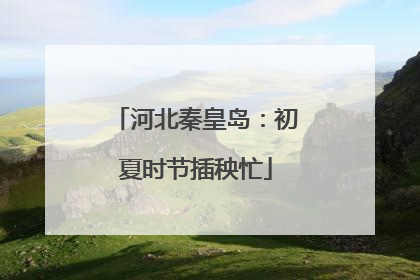 河北秦皇岛：初夏时节插秧忙