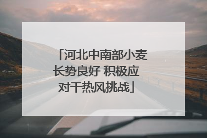 河北中南部小麦长势良好 积极应对干热风挑战
