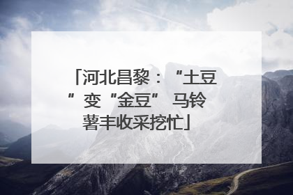 河北昌黎：“土豆”变“金豆” 马铃薯丰收采挖忙