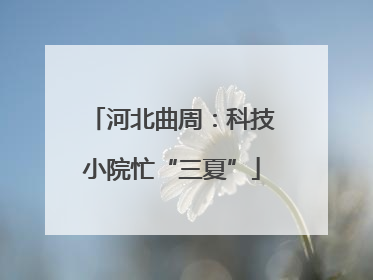 河北曲周：科技小院忙“三夏”