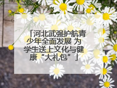 河北武强护航青少年全面发展 为学生送上文化与健康“大礼包”