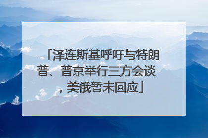 泽连斯基呼吁与特朗普、普京举行三方会谈，美俄暂未回应
