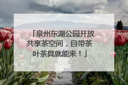 泉州东湖公园开放共享茶空间，自带茶叶茶具就能来！