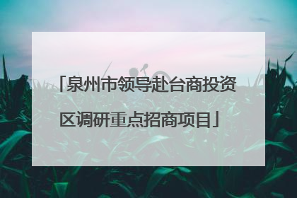 泉州市领导赴台商投资区调研重点招商项目