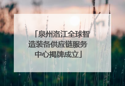 泉州洛江全球智造装备供应链服务中心揭牌成立