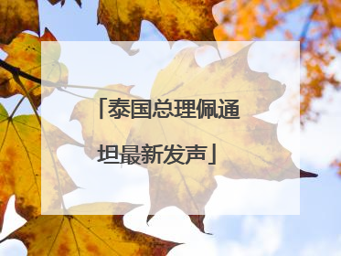 泰国总理佩通坦最新发声