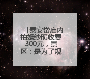 泰安岱庙内拍婚纱照收费300元，景区：是为了规范“商拍”行为，保证游客体验，收取费用全部上交国库