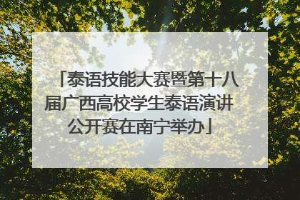 泰语技能大赛暨第十八届广西高校学生泰语演讲公开赛在南宁举办