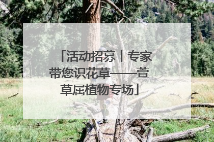 活动招募丨专家带您识花草——萱草属植物专场