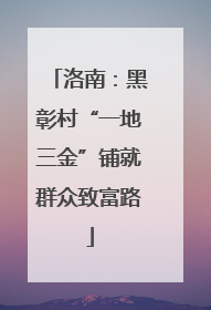 洛南：黑彰村“一地三金”铺就群众致富路