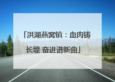 洪湖燕窝镇：血肉铸长堤 奋进谱新曲