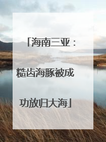 海南三亚：糙齿海豚被成功放归大海